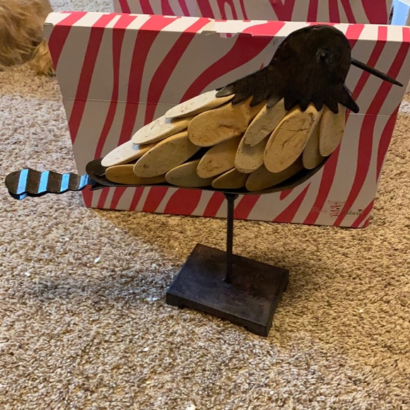 Pink Zebra Naked Bird